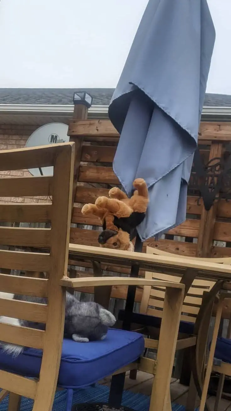 ai character: sleepover...  background