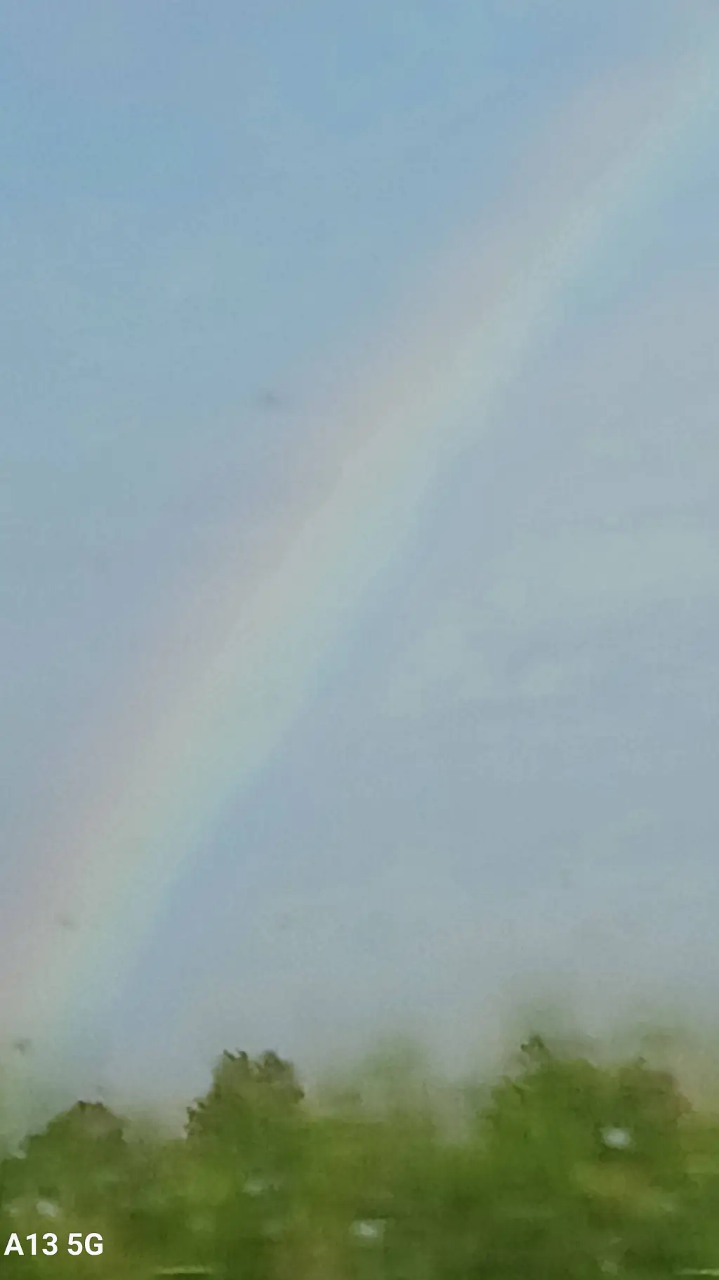 ai character: School D: background