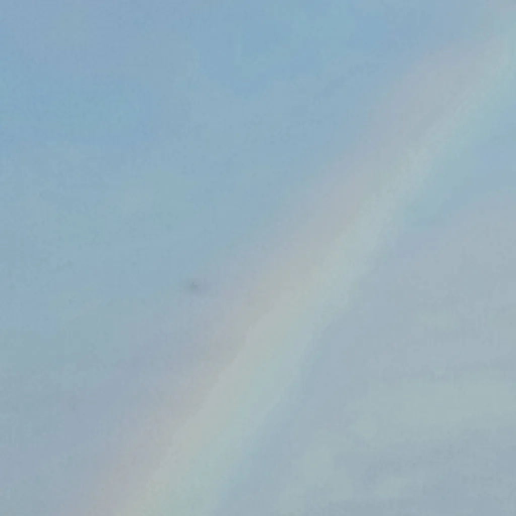 chat with ai character: School D: