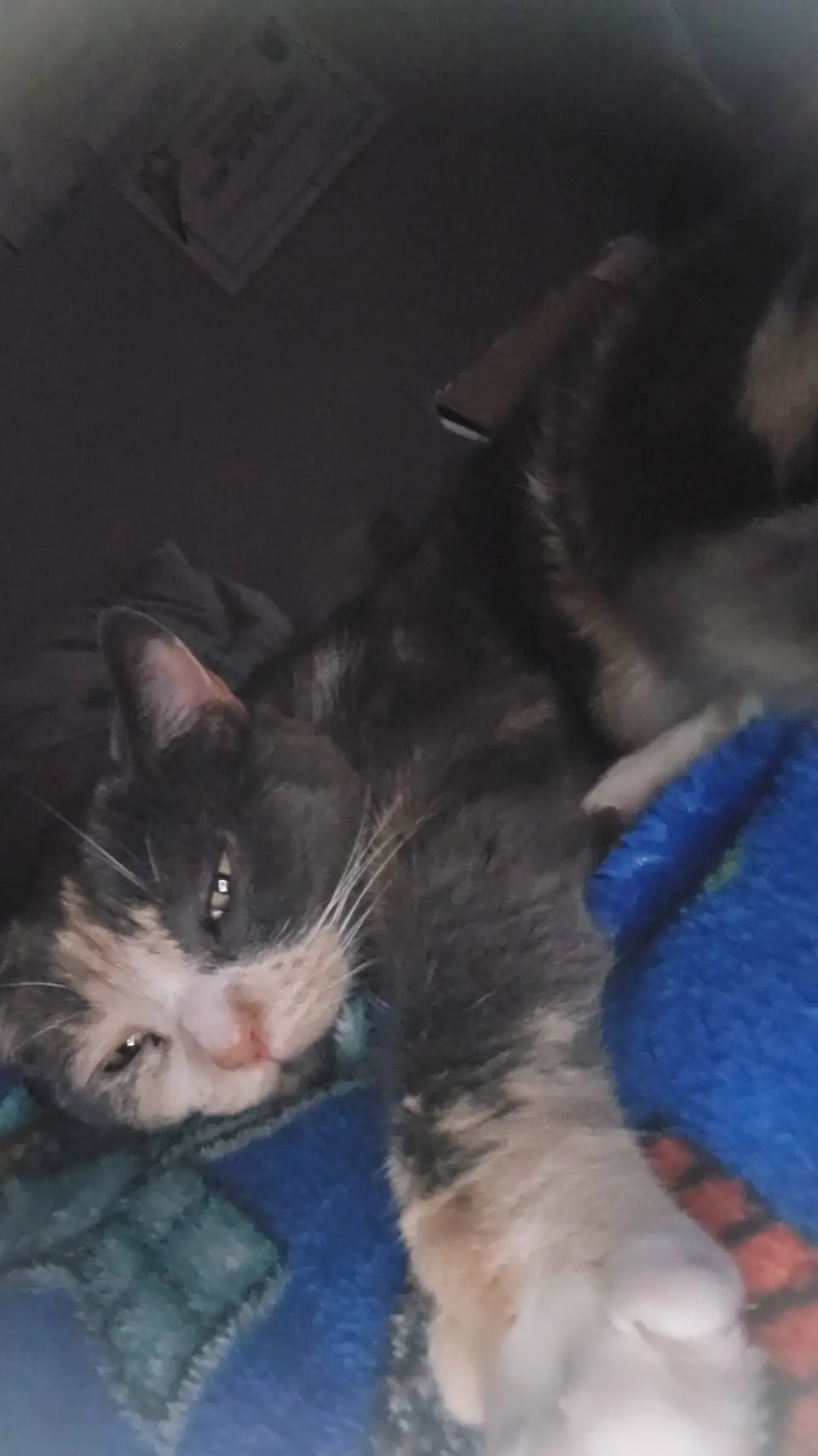 ai character: i am quitting ♡ background