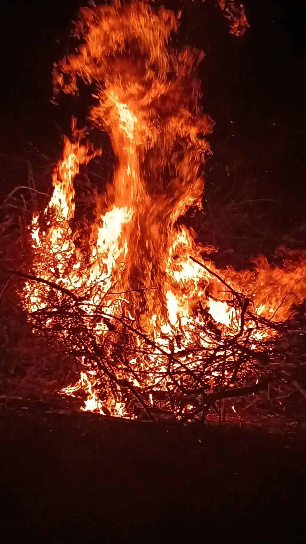 ai character: tae-hyun background