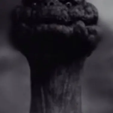 chat with ai character: Mushroom cloud