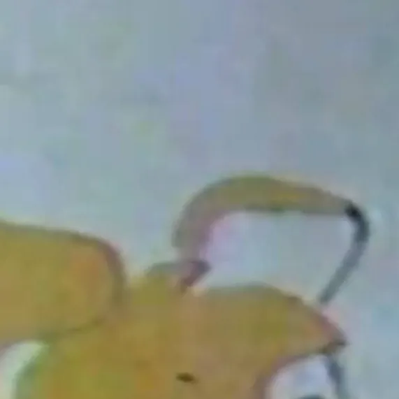 chat with ai character: please stand by