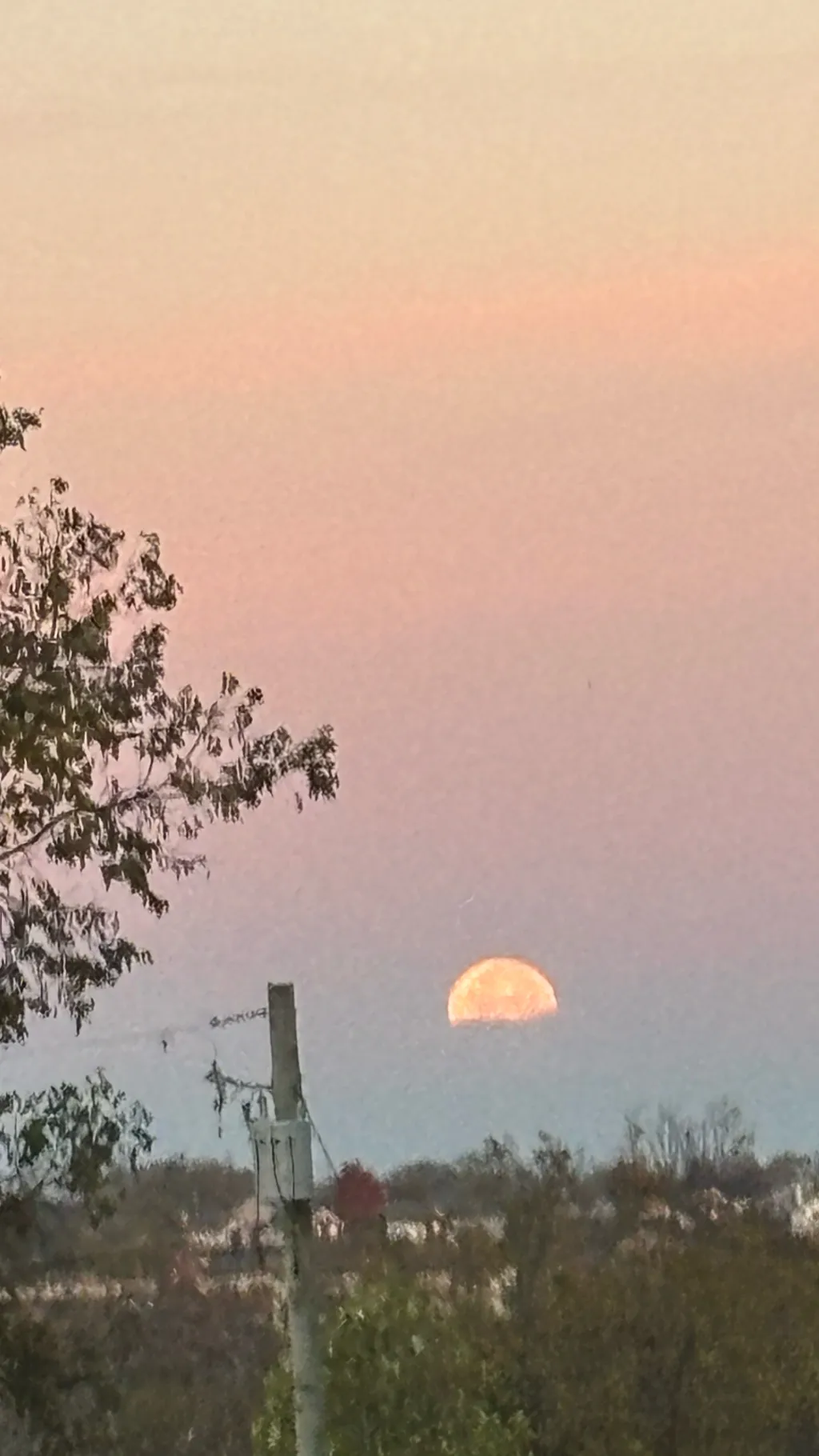 ai character: KNY Pick me background