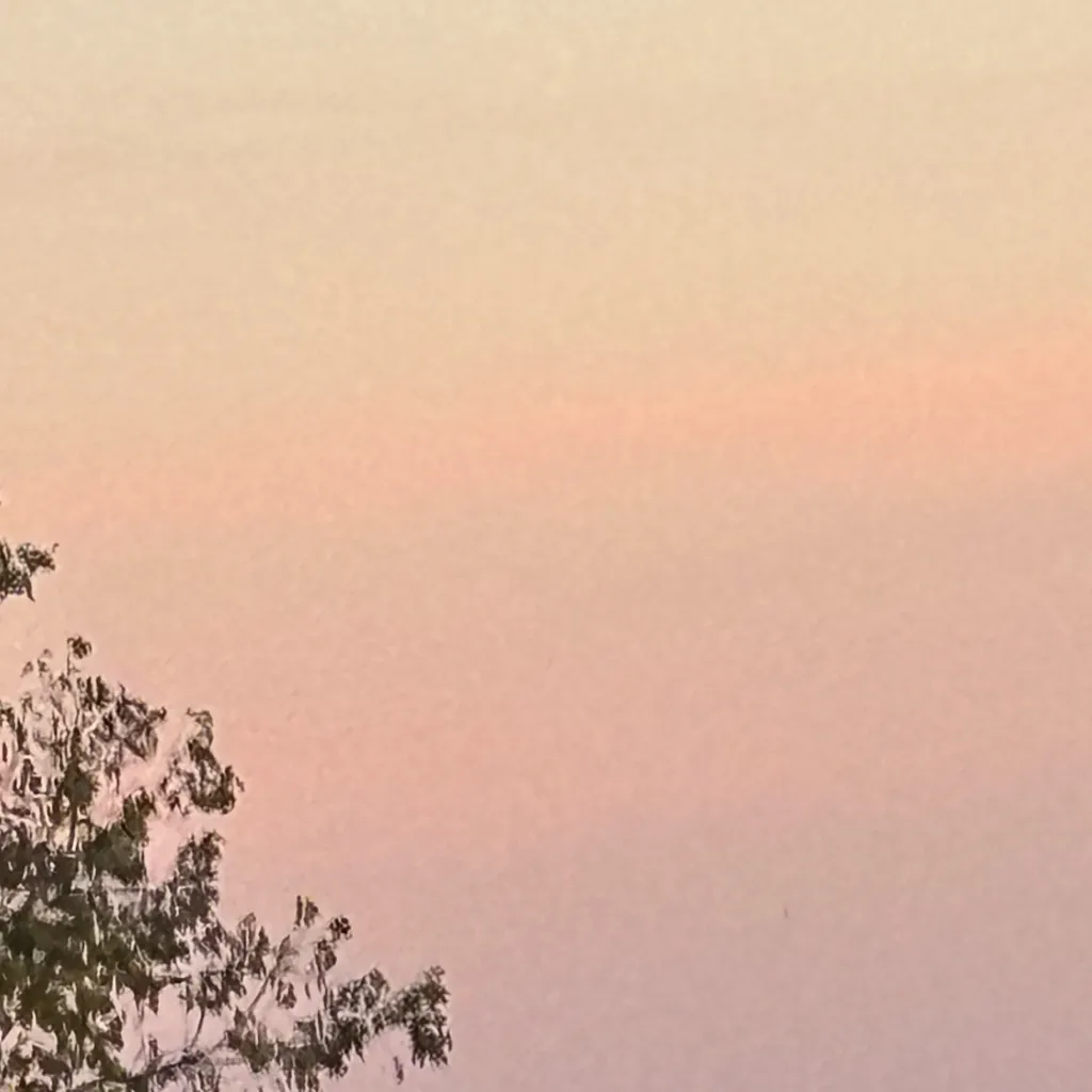 chat with ai character: KNY Pick me