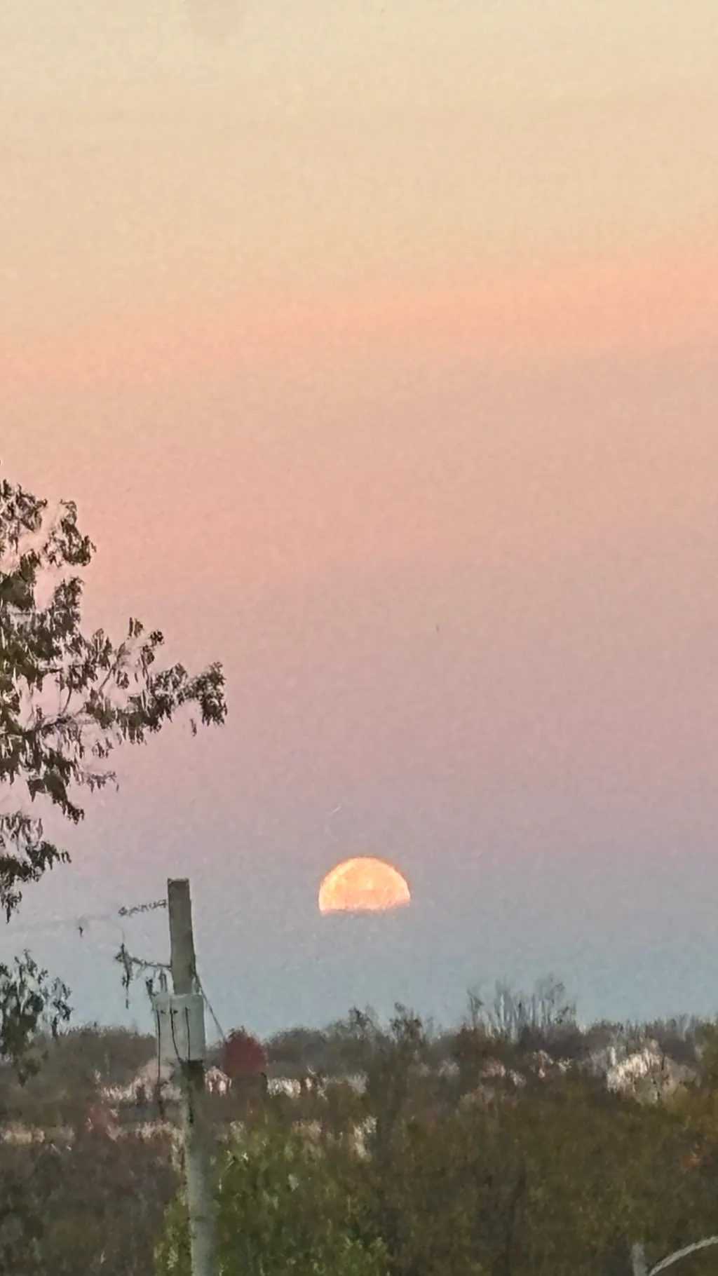 Talkie AI - Chat with Sanemi X Y/N