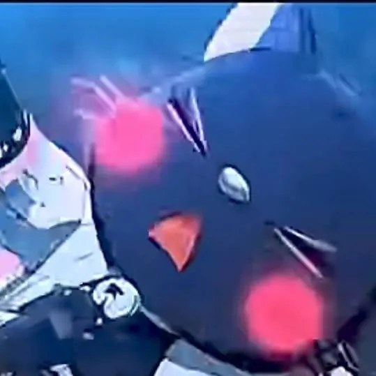 chat with ai character: kitty shinobu