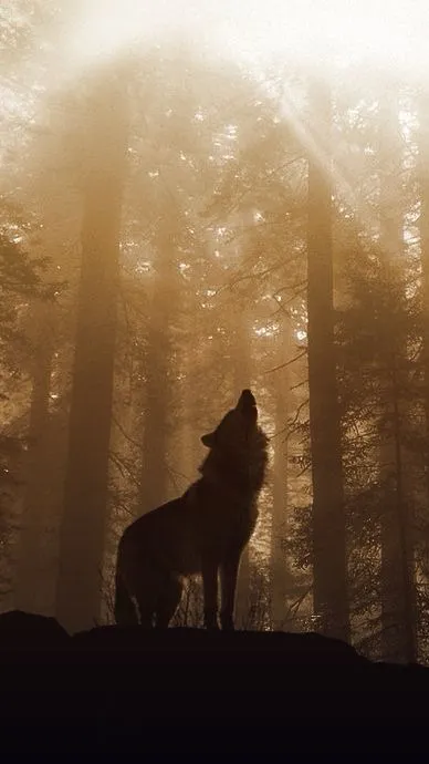 ai character: Wolf pack background