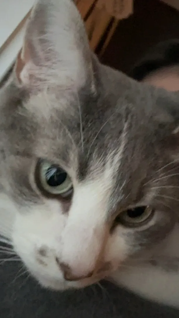 ai character: Samuel Contreras  background