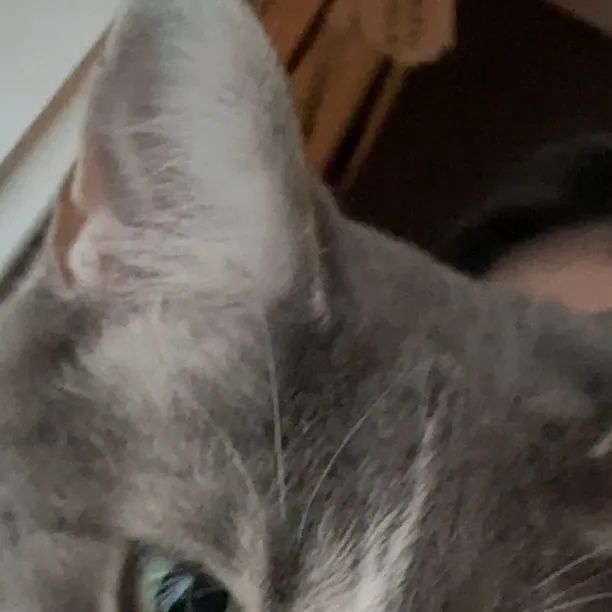 chat with ai character: Samuel Contreras 