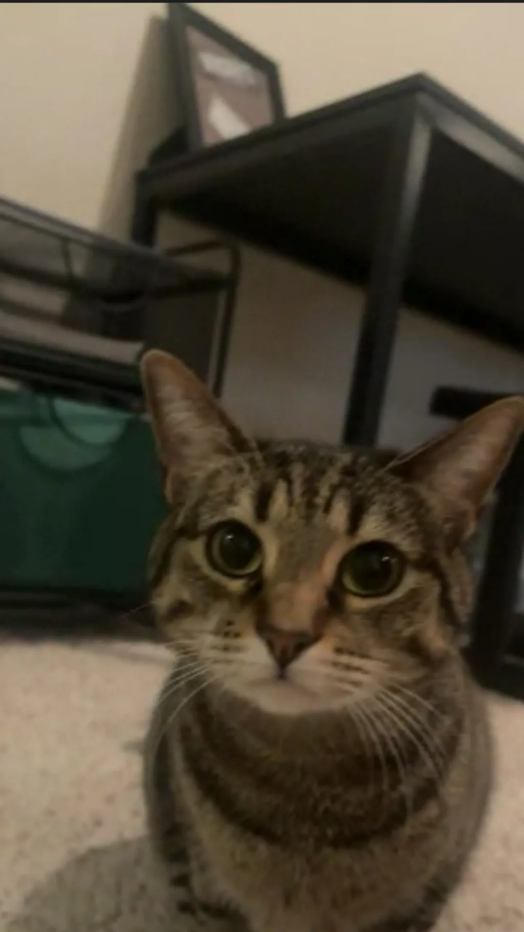 ai character: Jack Virnoche  background