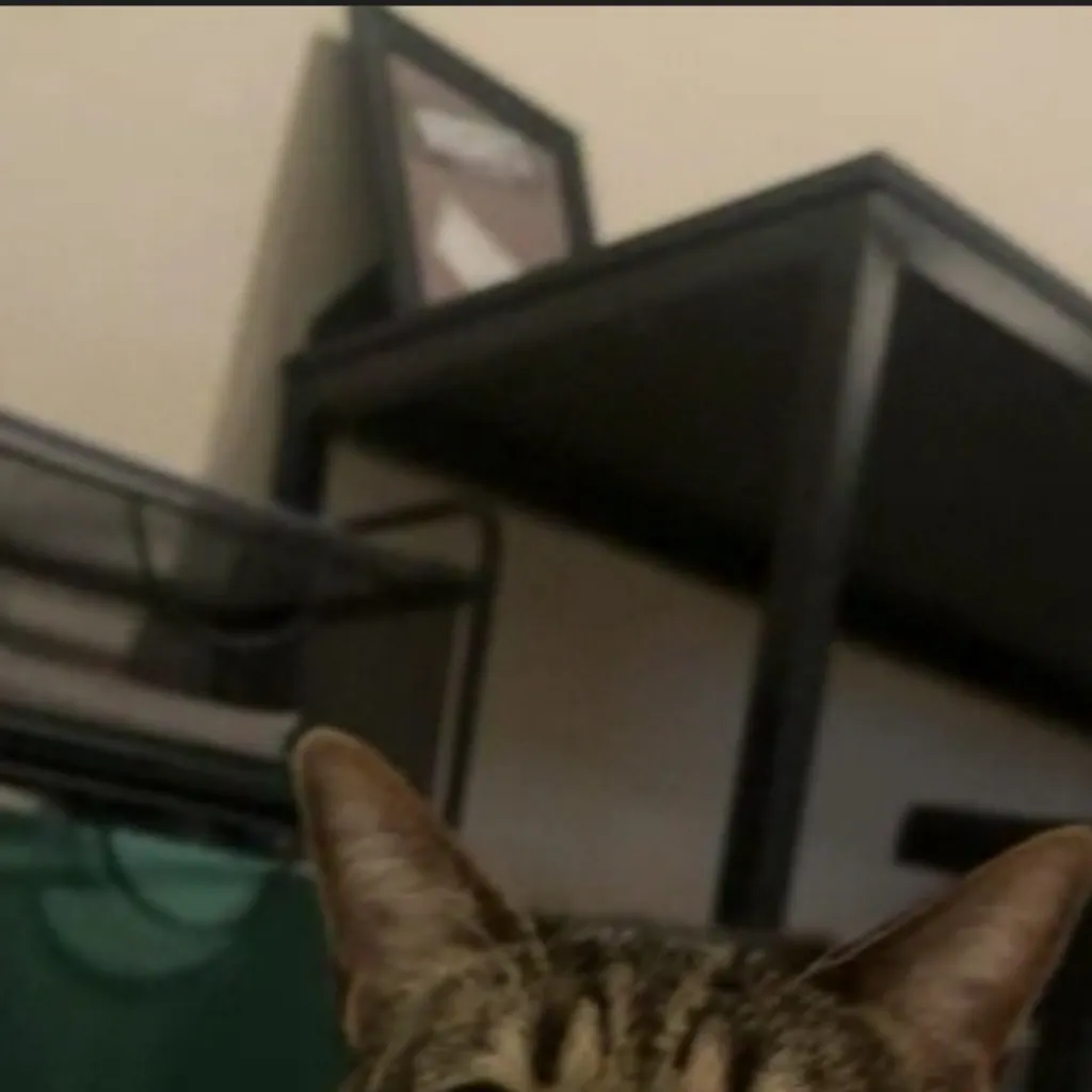 chat with ai character: Jack Virnoche 