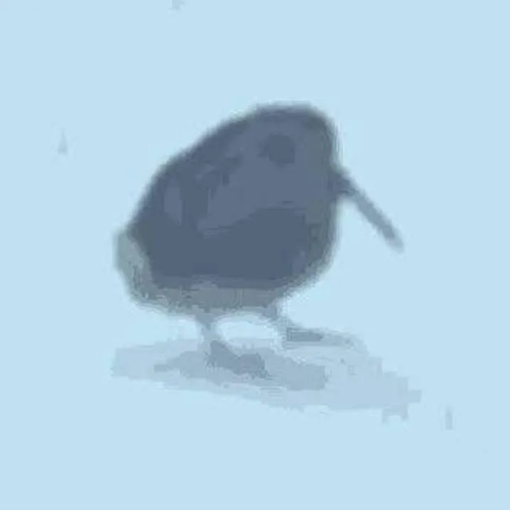 chat with ai character: Birb Bird