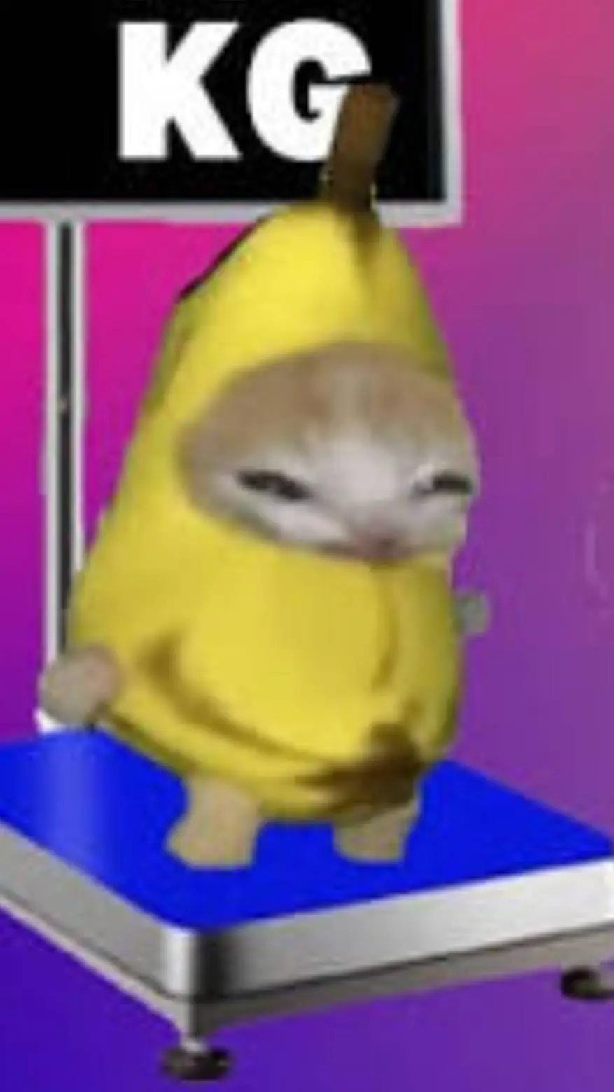 ai character: fat Banana Cat  background