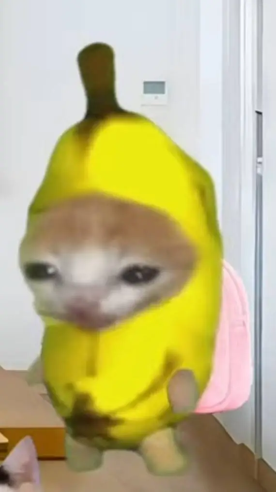 ai character: Fat Banana Cat  background