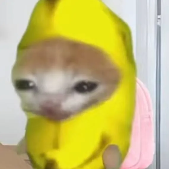 chat with ai character: Fat Banana Cat 