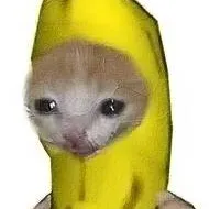 chat with ai character: Baby Banana Cat