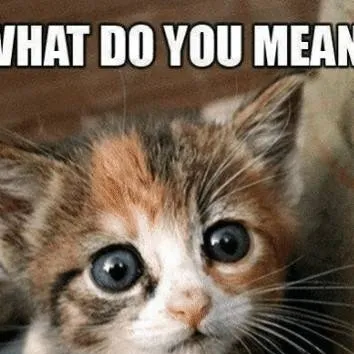 chat with ai character: Kitten