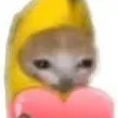 chat with ai character: Banana Cat