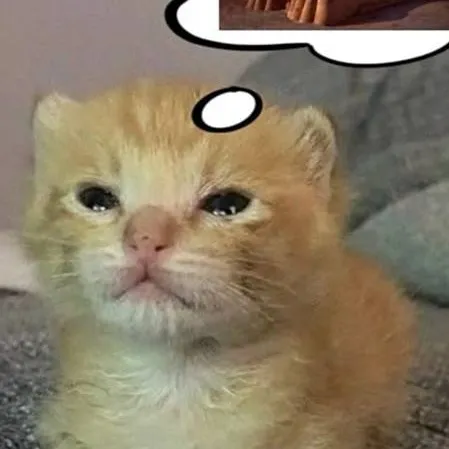 chat with ai character: Kitten 