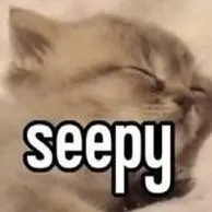 chat with ai character: Seepy Kitten