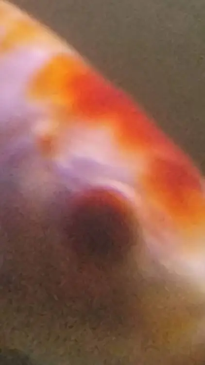 ai character: school 4.. background