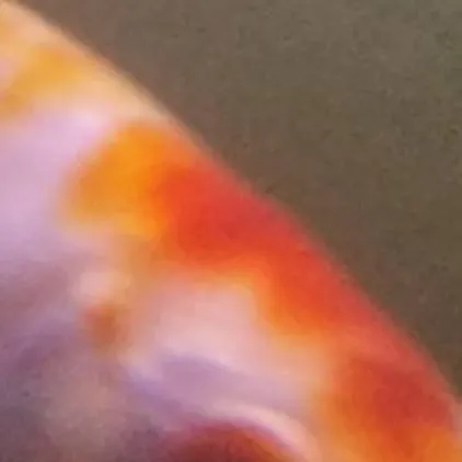 chat with ai character: school 4..