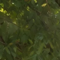 chat with ai character: School!