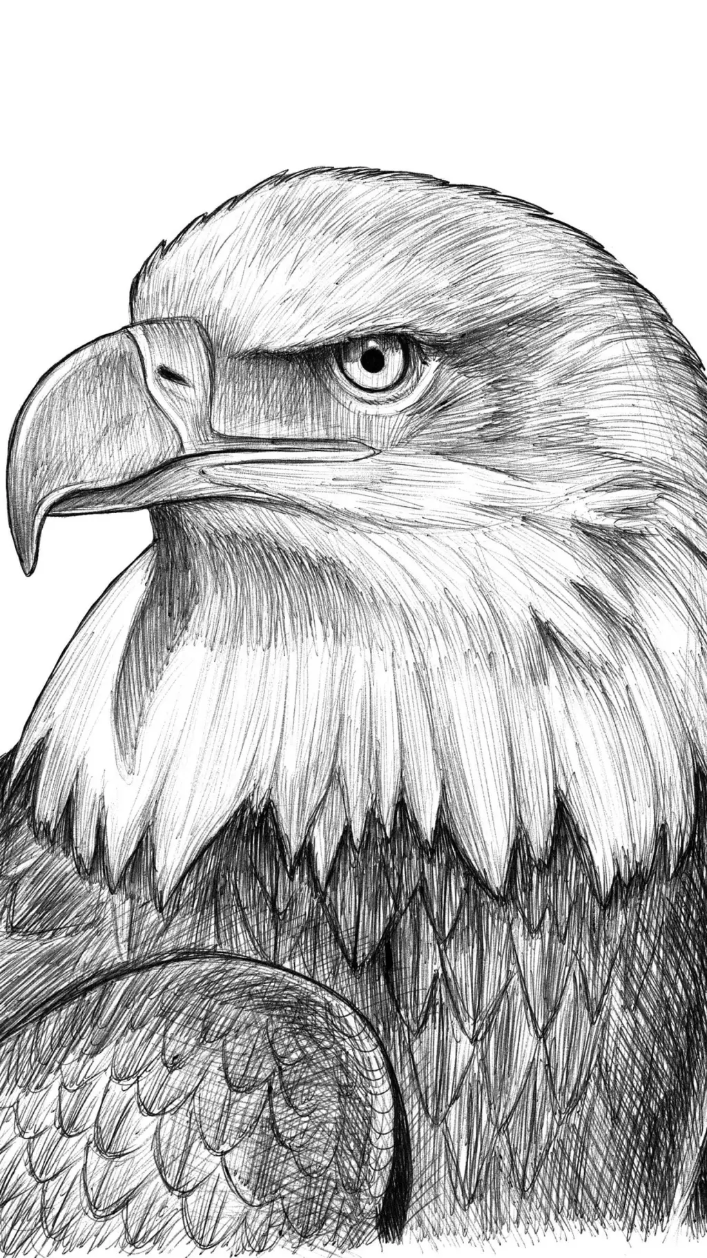 ai character: Eagle'Clan ! 🦅 background