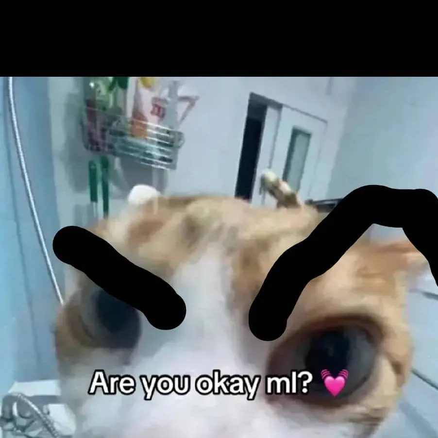 chat with ai character: mary