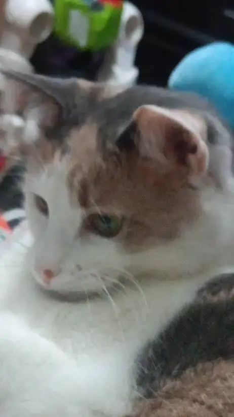 ai character: pick me background