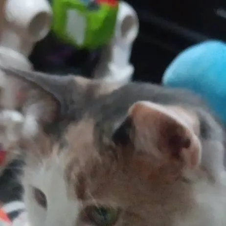 chat with ai character: pick me