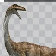 chat with ai character: gallimimus