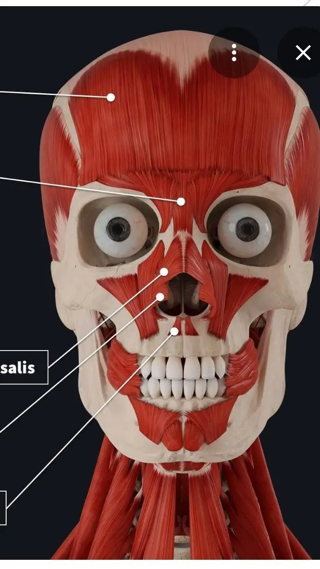 ai character: skinner raldi background