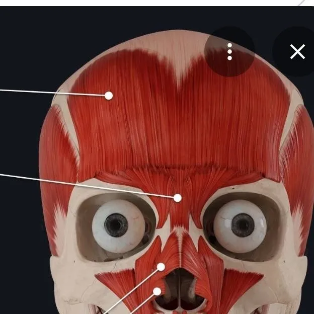 chat with ai character: skinner raldi