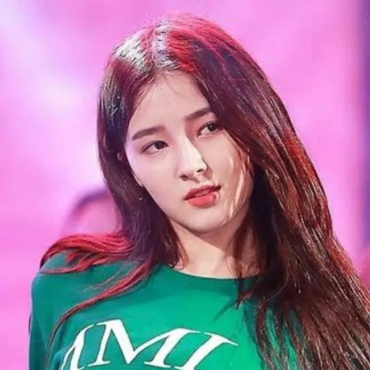 chat with ai character: Nancy momoland 