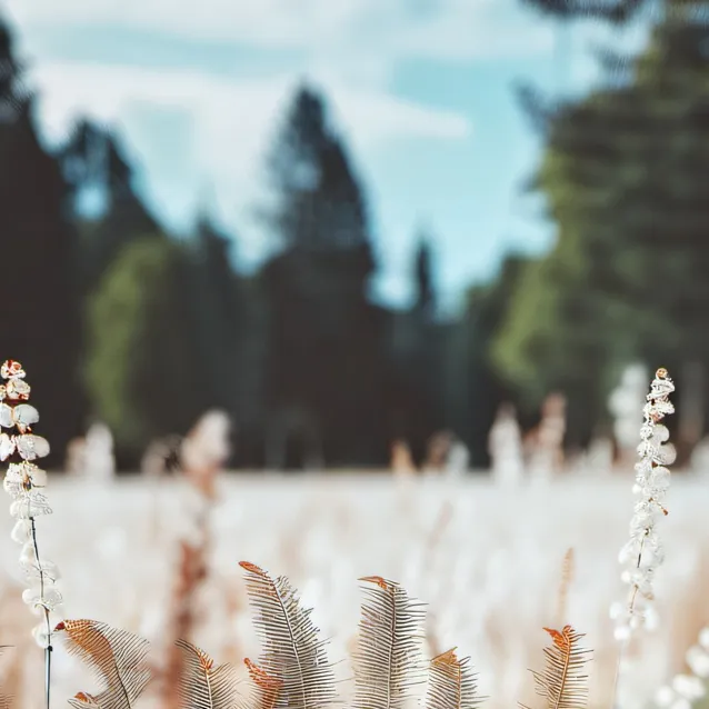 chat with ai character: Grass.
