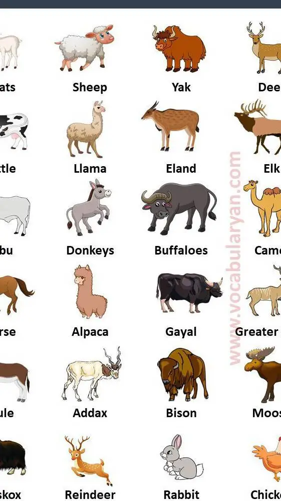 ai character: All farm animals  background