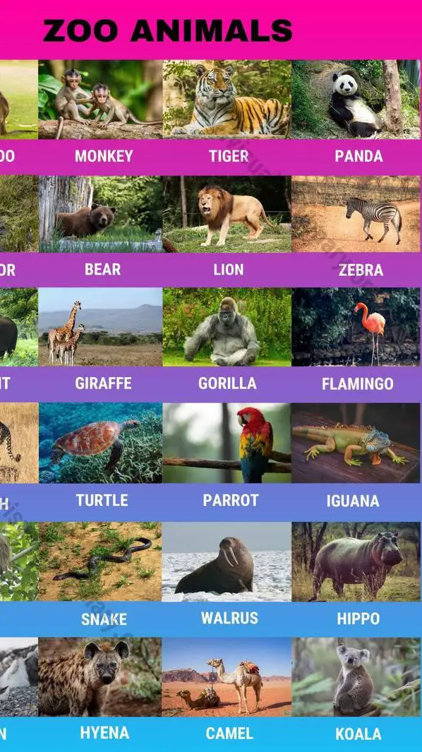 Talkie AI - Chat with All zoo animals 