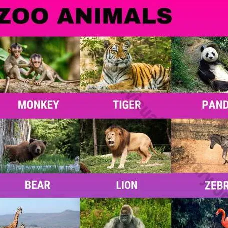 chat with ai character: All zoo animals 