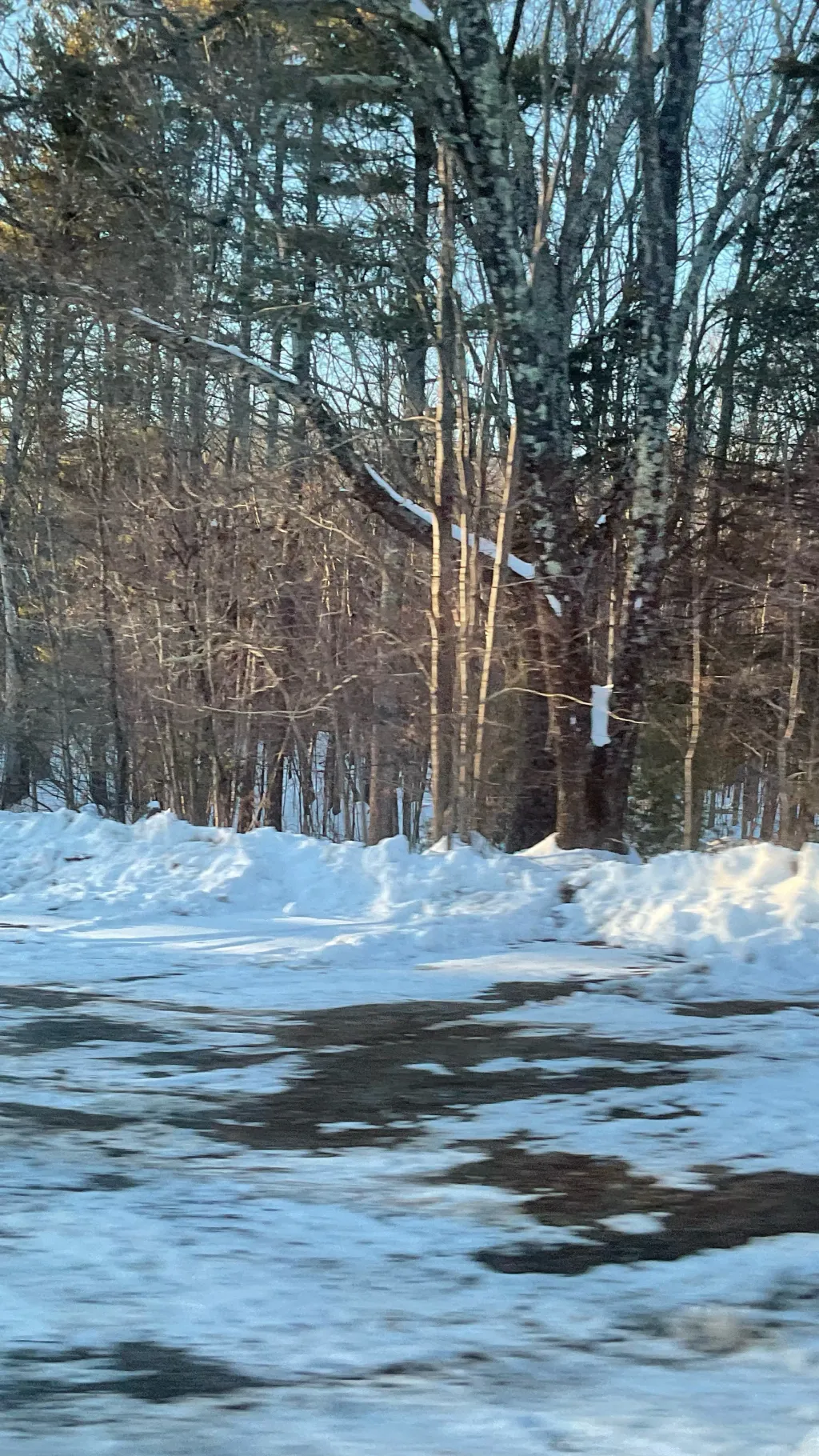 ai character: Jazz/jazzy background