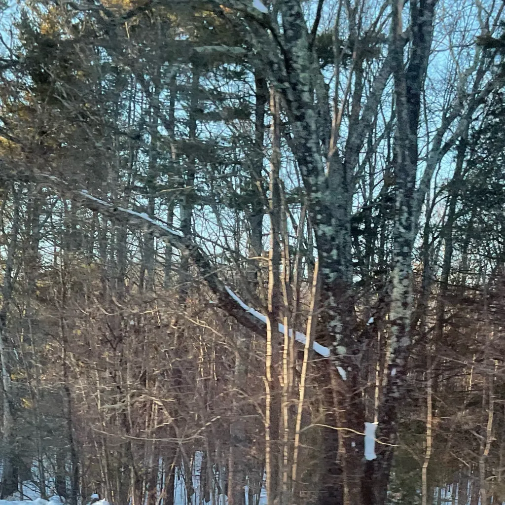 chat with ai character: Jazz/jazzy