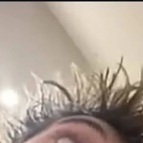 chat with ai character: 3fs