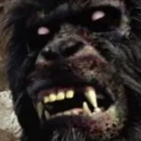 chat with ai character: Kifo the gorilla 