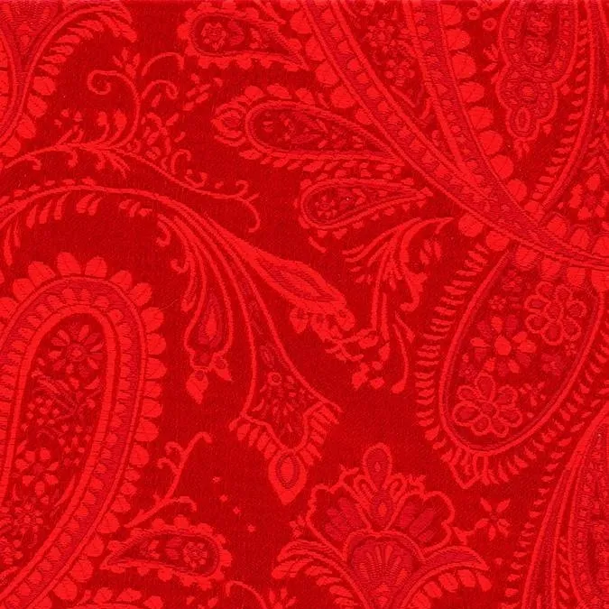 chat with ai character: Paisley