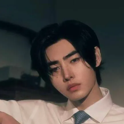 chat with ai character: sunghoon