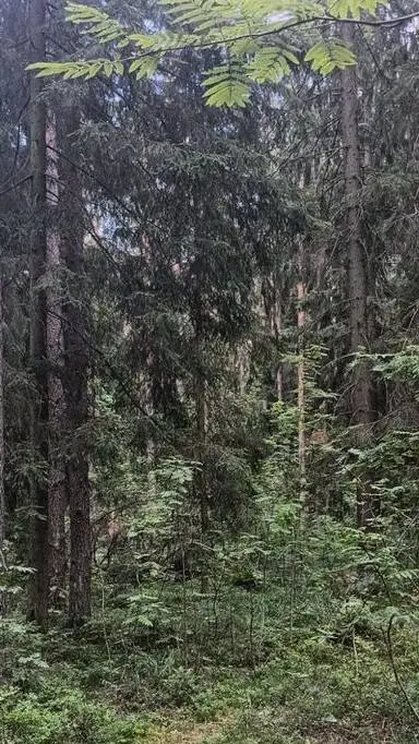 ai character: Genisis (WCUE Oc) background