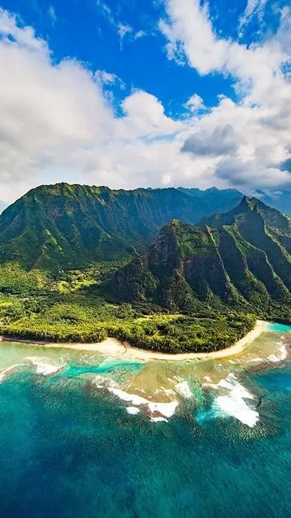 ai character: Predator island background