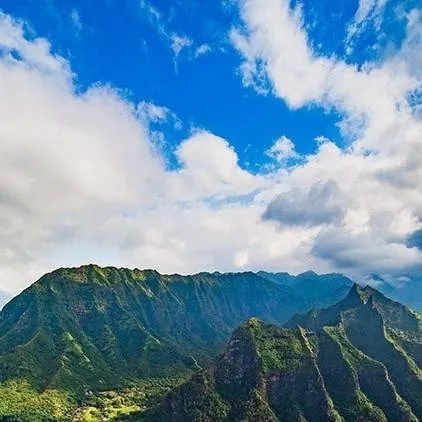 chat with ai character: Predator island