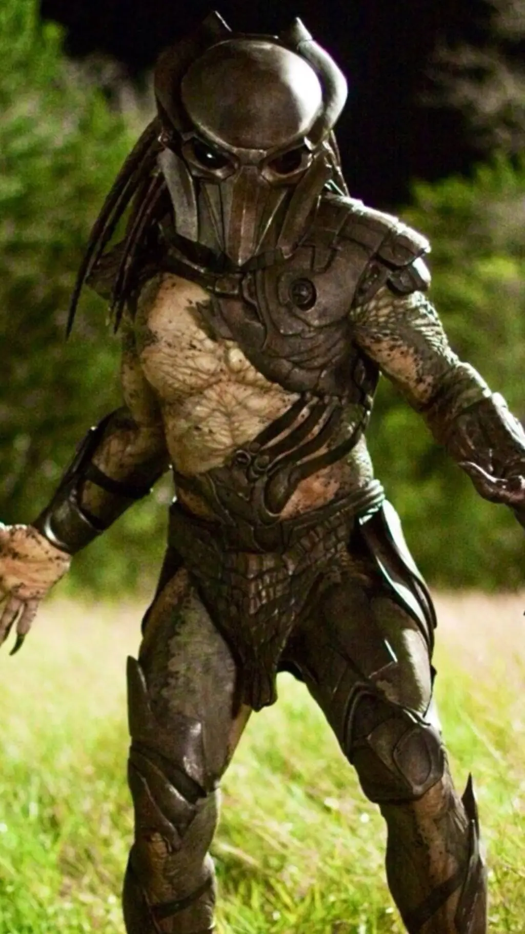 ai character: Falconer predator  background